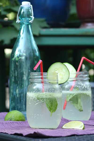 Cucumber Basil Spritzer