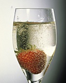 A Refined «thirst satisfying» Summer Party Drink. 