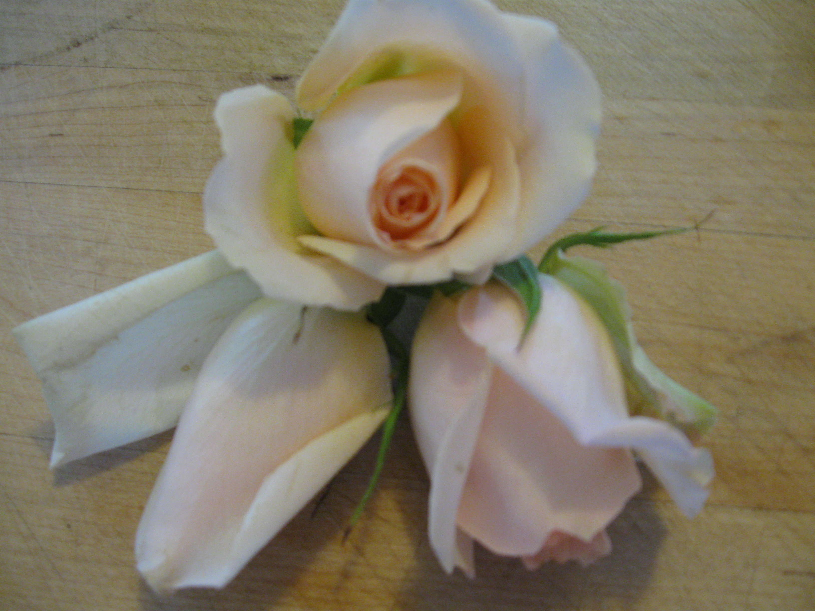 Rose-Scented Gelato-White Chocolate Bon Bons
