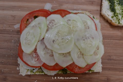 vegetable & chutney sandwich