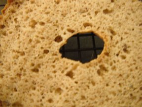 Bagel- granary style