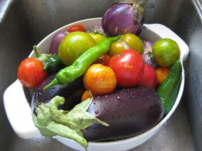Marinated Garden