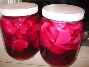 Beet Infused Pink Pickles