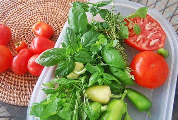 Tomato_sandwich_ingredients