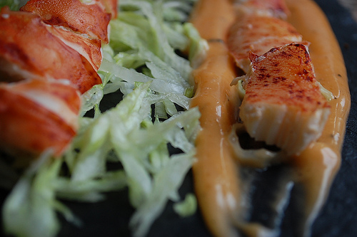 Steamed Lobster with Roasted Lobster Mayo