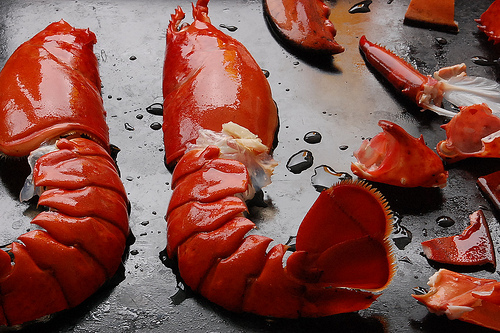 Steamed Lobster with Roasted Lobster Mayo