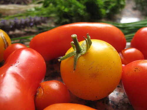 Tomato Crudo