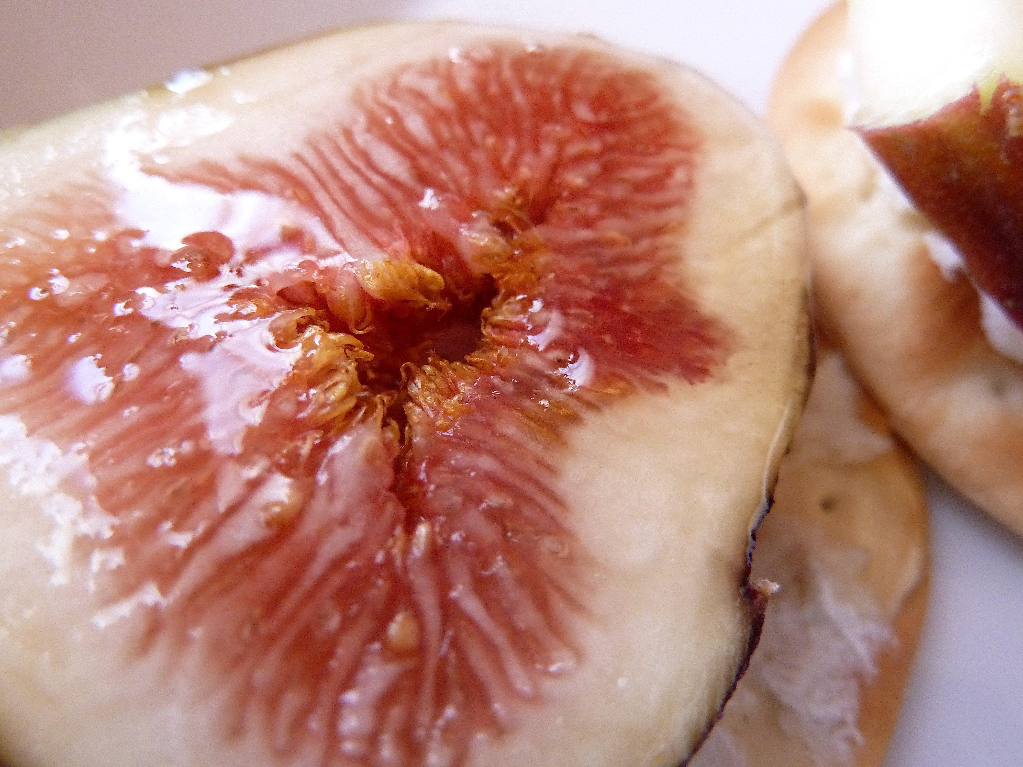 Fresh Fig and Goat Cheese Canapés