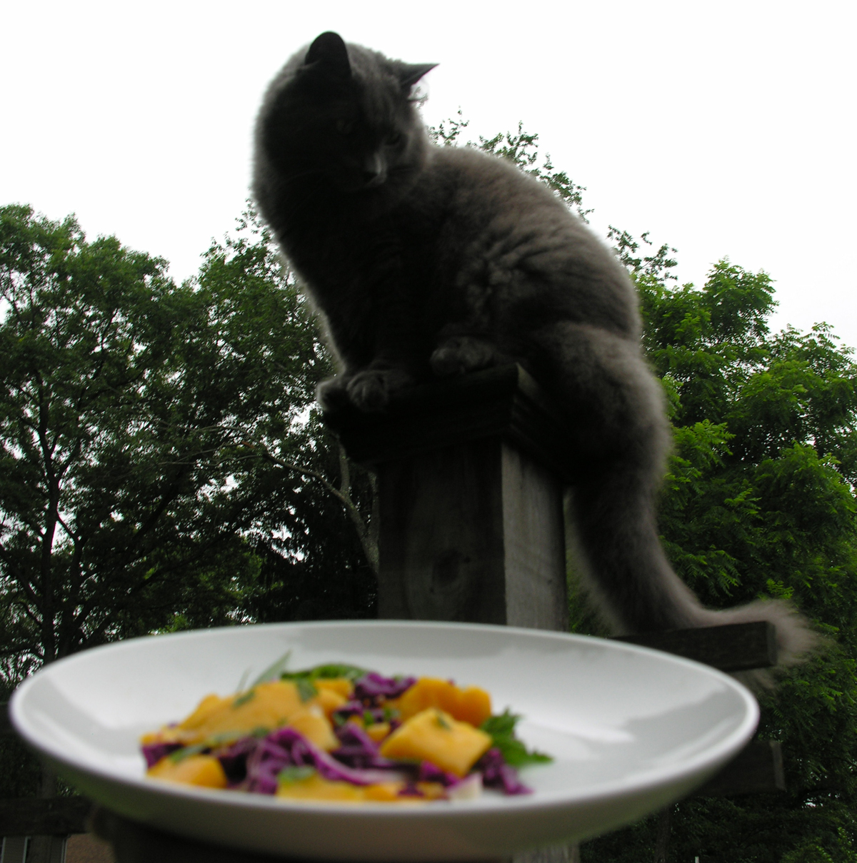 A simple salad duet