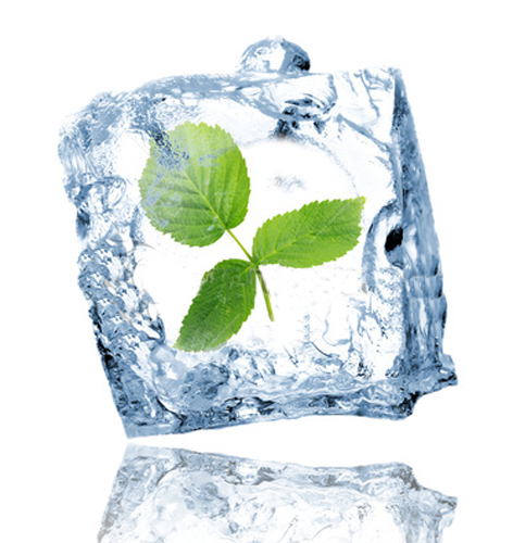 Aromatherapy - FRESH all Year round
