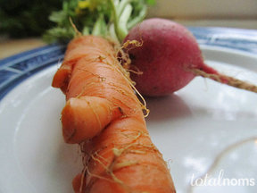 Carrot_radish08