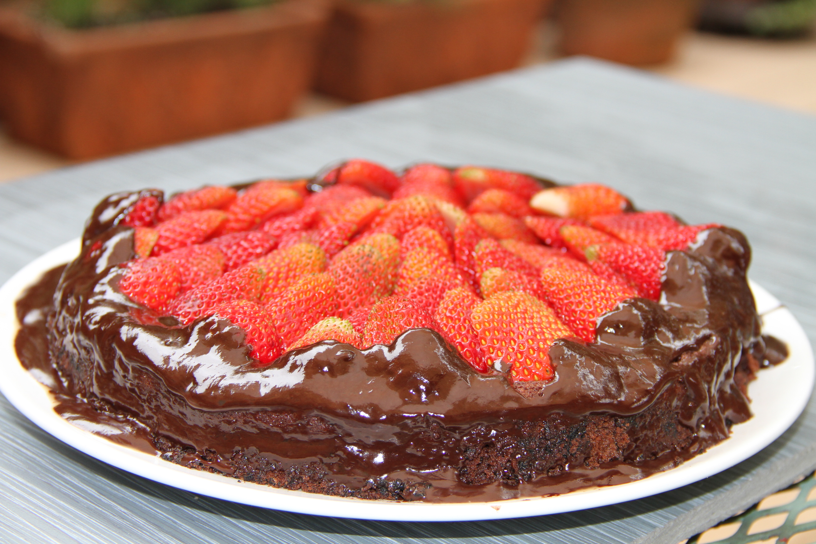 Chocolate Truffle Cake