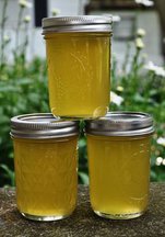 Cucumber Jelly