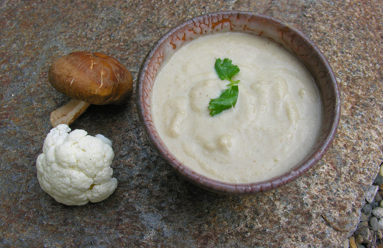 Portrait of a soup in cream