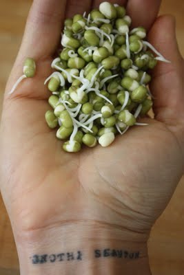 sprout.