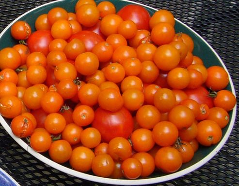Cherries