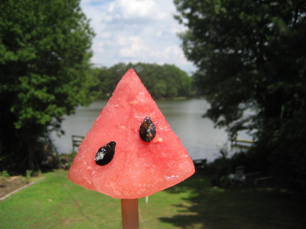 Watermelon Ice Slice