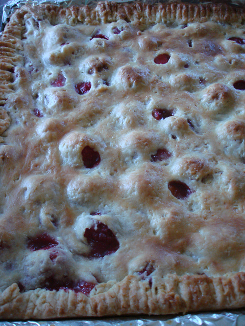 Plum Delicious Slab Pie