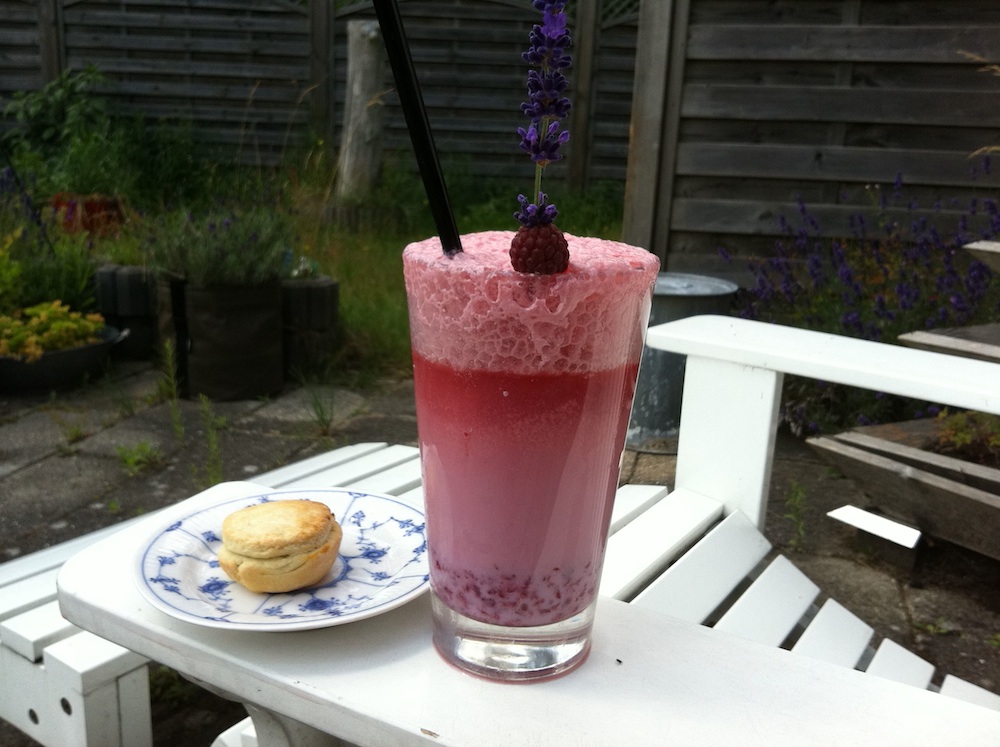 Raspberry Egg Cream
