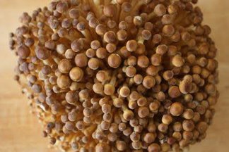 quinoa with wild mushrooms, black-eyed peas and dandies