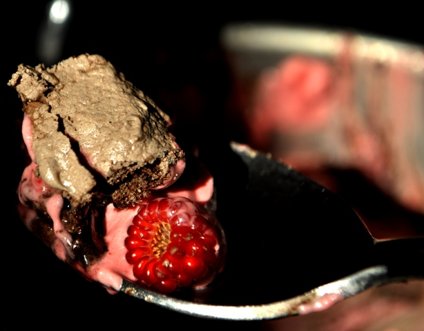 Raspberry Whipped Cream Chocolate Meringue Pie
