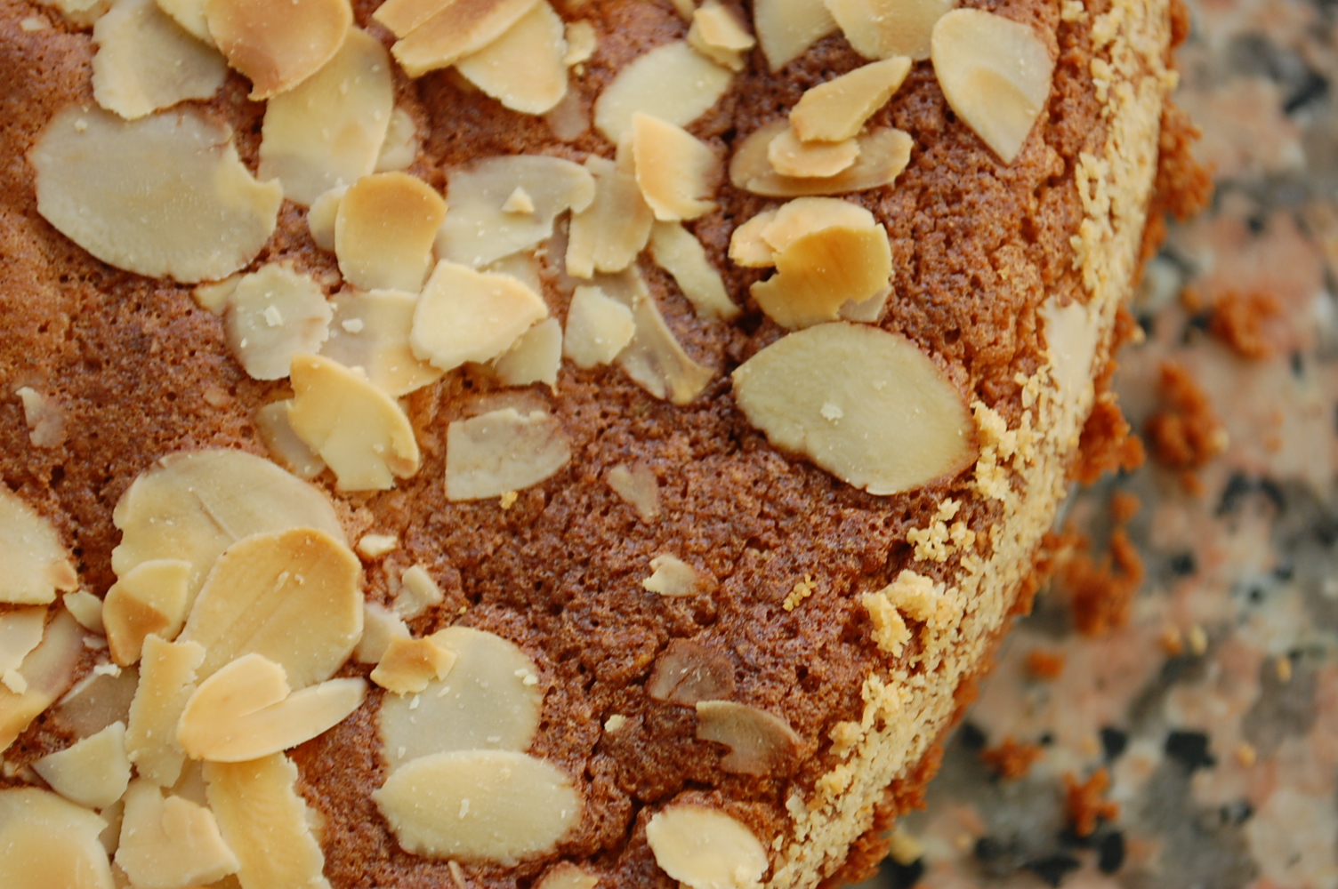 Sicilian Orange (with only a little Lemon) Raspberry Cake