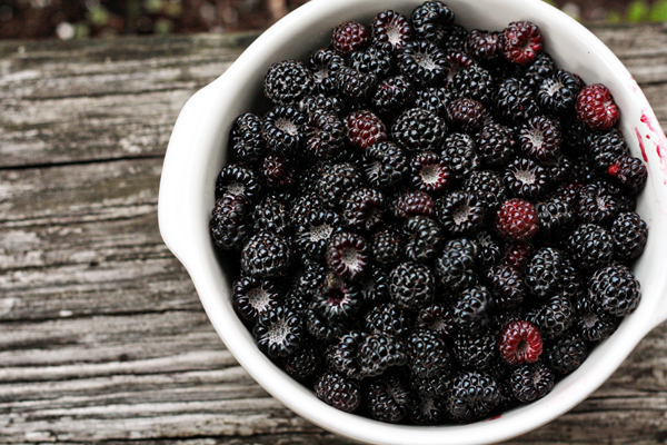 Hearty Raspberry Pancakes