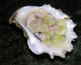 Dscn5880