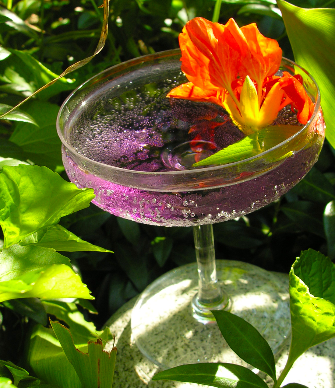 A violet crush