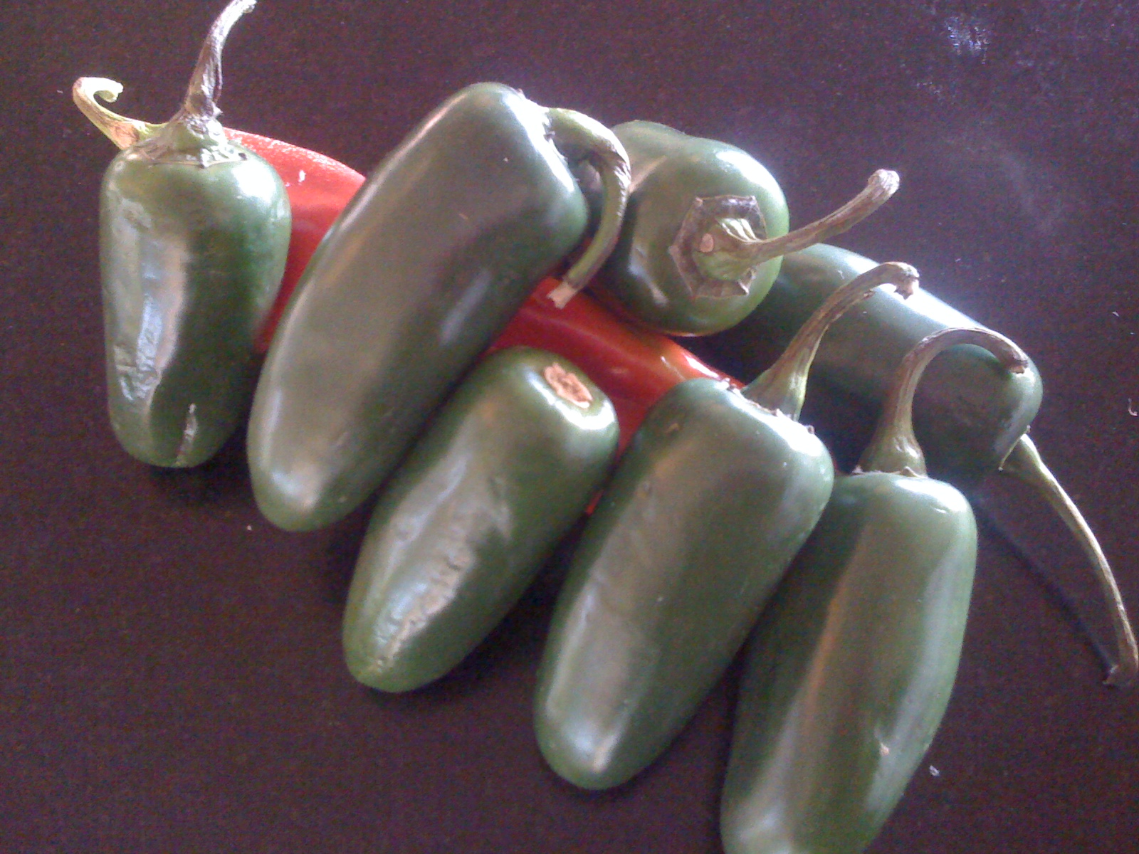 JALEPENO PEPPER BITES
