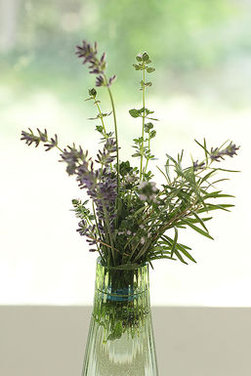 Lemon Thyme Limoncello