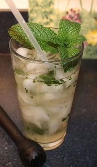 Mojito2_mango_rum