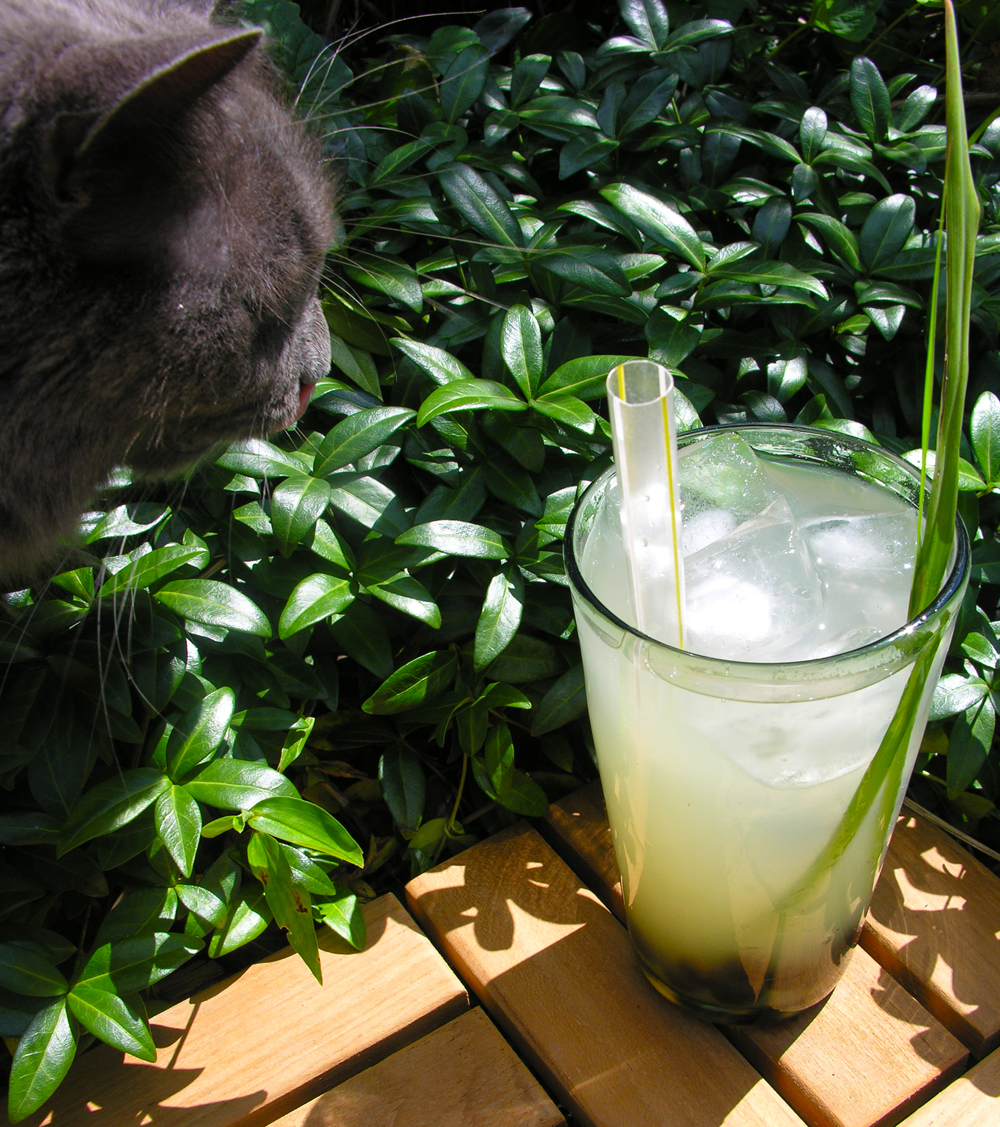 Bobobalicious tea