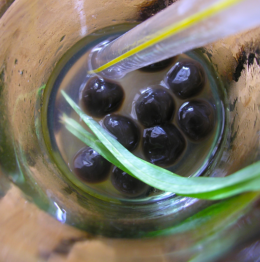 Bobobalicious tea