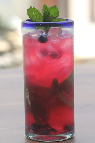 Blueberry Mint Mojito