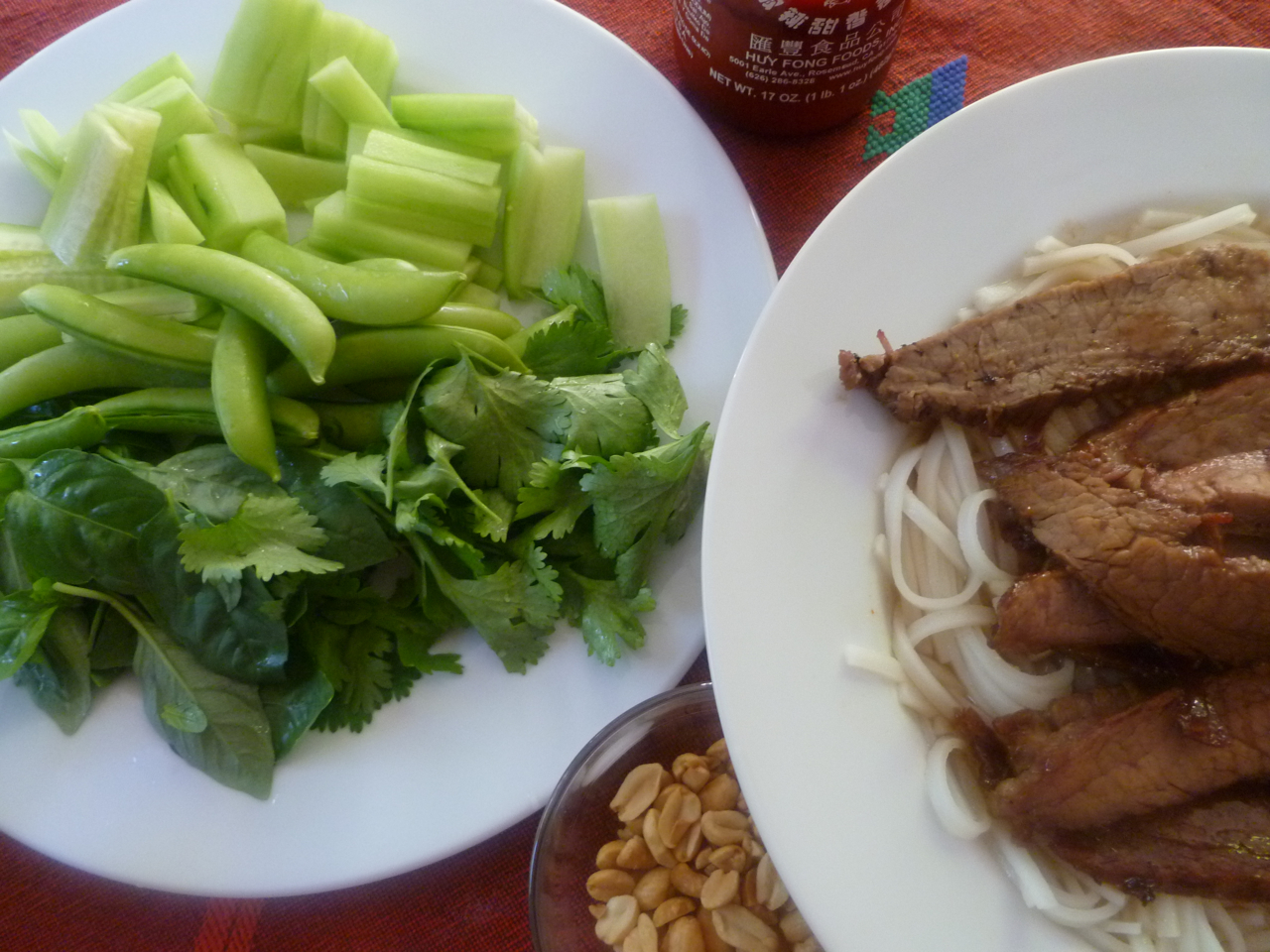 Flank Steak Draped Rice Noodle Salad