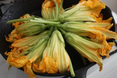 Squash Blossom Frittata