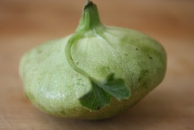 Squash Blossom Frittata