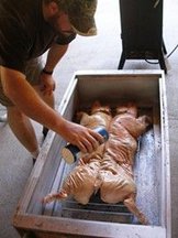 Cajun Microwave Hog Roasting