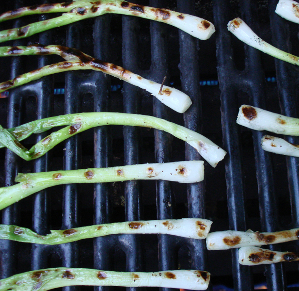 Grilled Flank Steak with Charred Green Onion Pesto