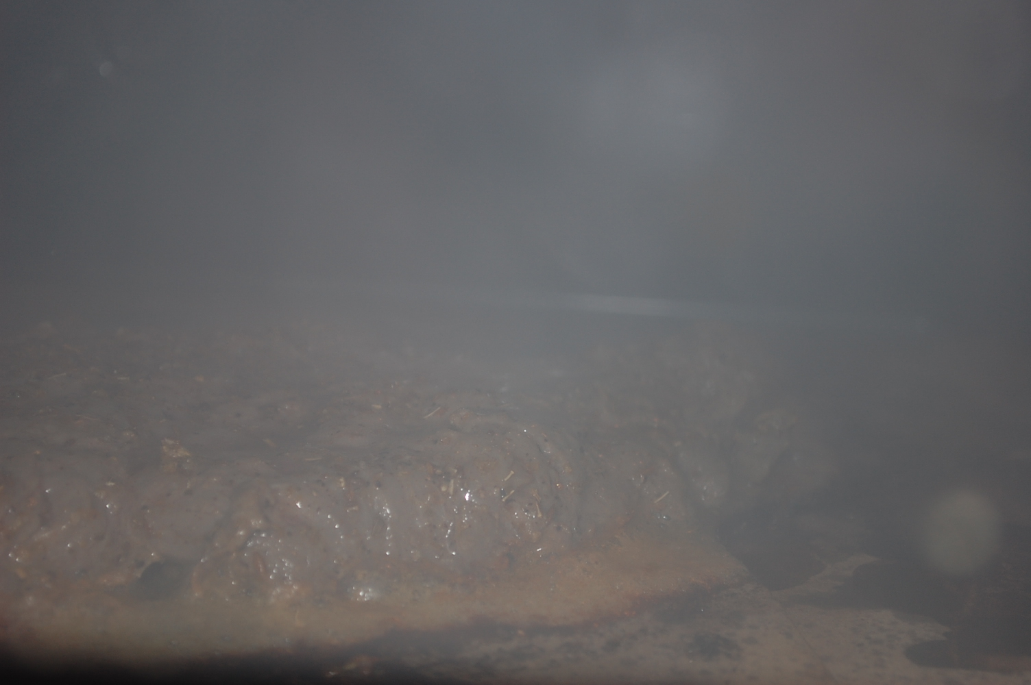 Steak on Stone