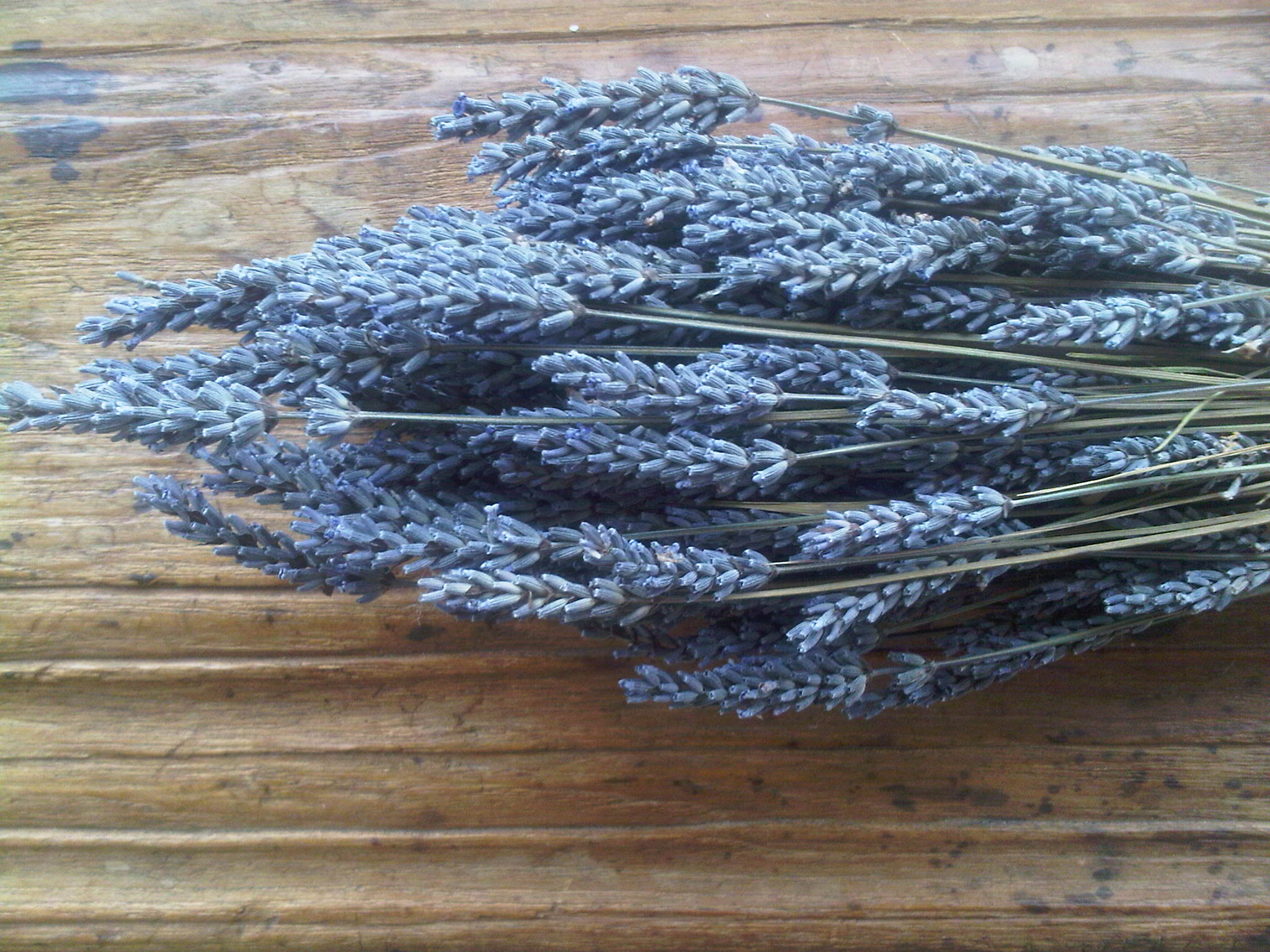 Goat Cheese Spread with Lavender