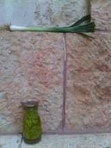 Leek and garlic scape pesto