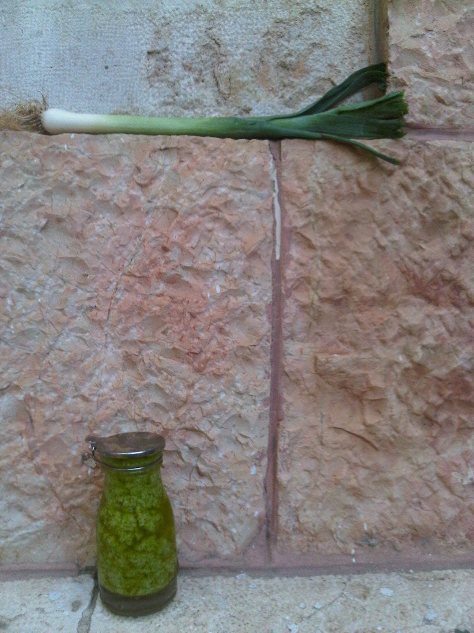 Leek and garlic scape pesto