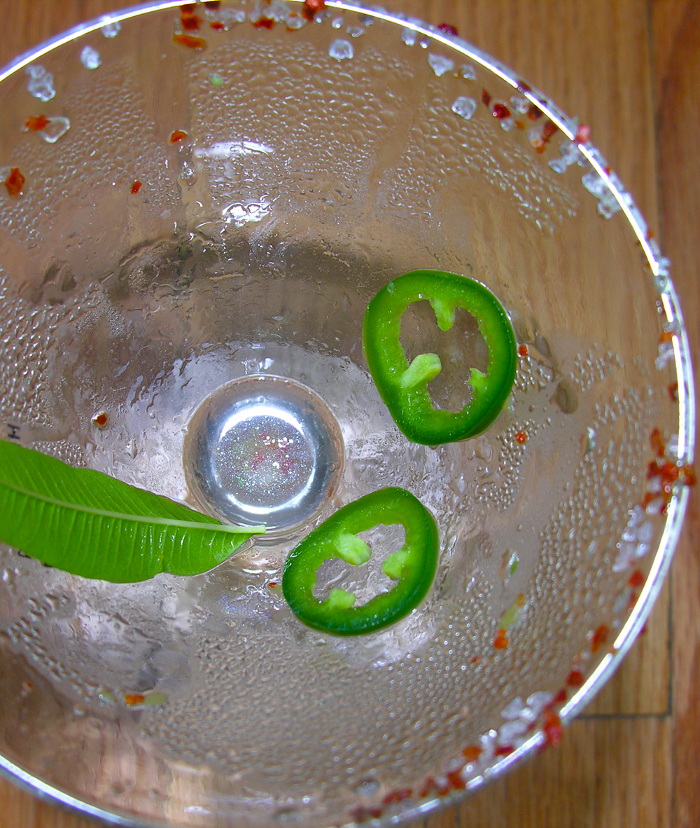 Icy Spicy Margarita