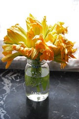 Fried Zucchini Blossoms