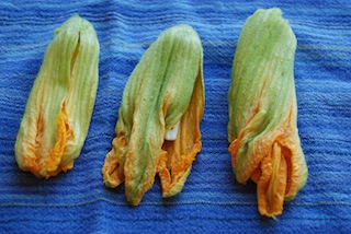 Fried Zucchini Blossoms