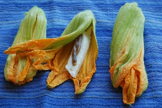 Fried Zucchini Blossoms