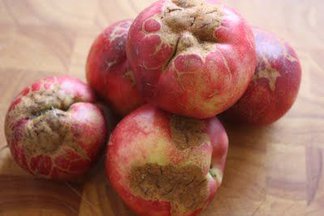 Ugly Fruit Tartine 