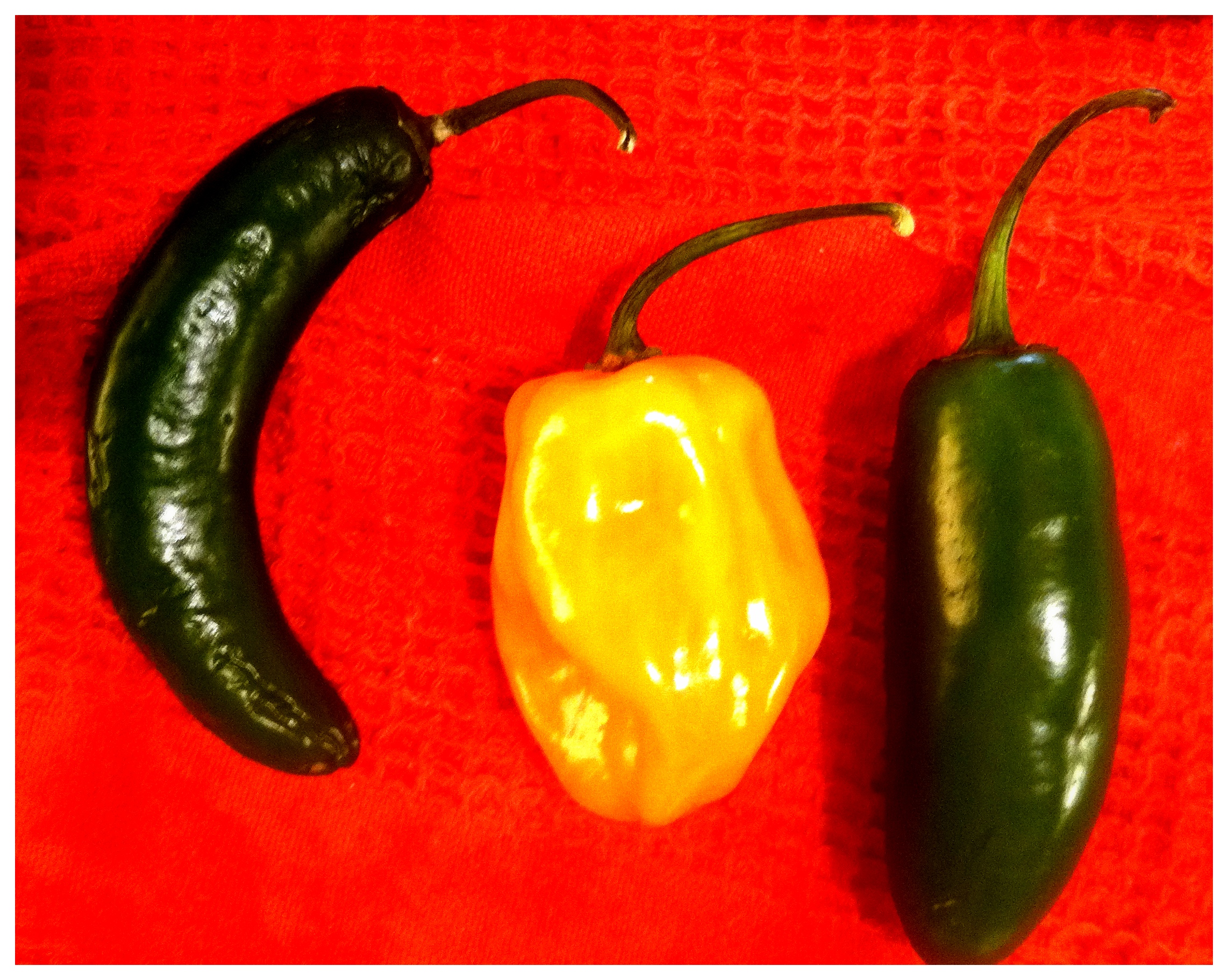 Homemade Three Chili Hot Sauce